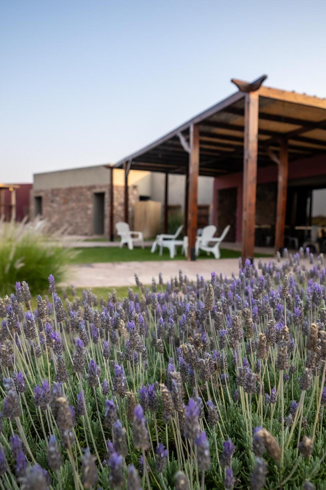 Hotel Castillos De Cafayate Εξωτερικό φωτογραφία