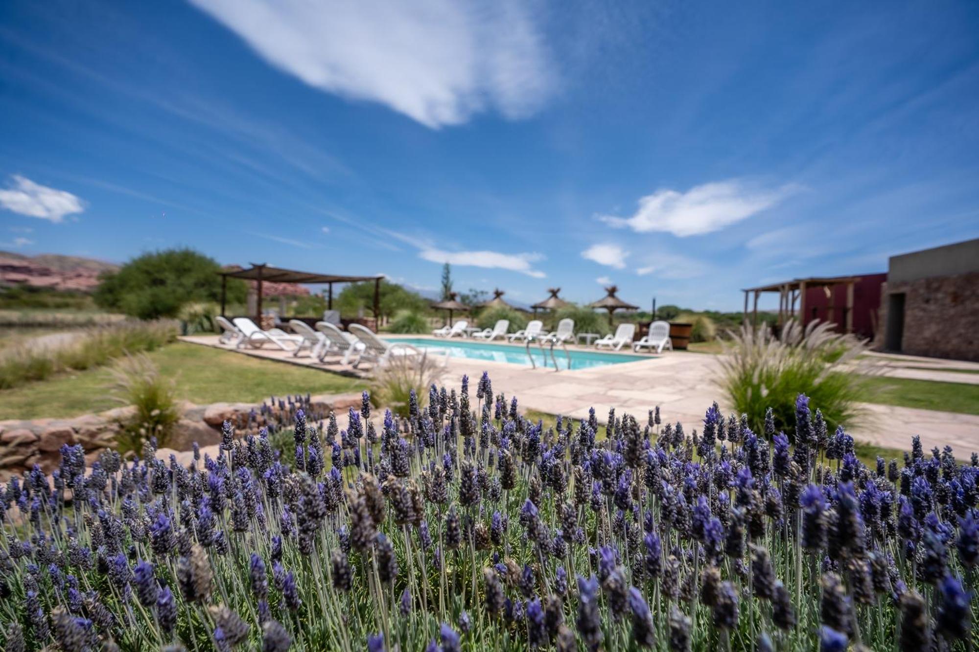 Hotel Castillos De Cafayate Εξωτερικό φωτογραφία